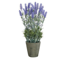 Load image into Gallery viewer, Artificial Lavender in Pot 53 x 25cm
