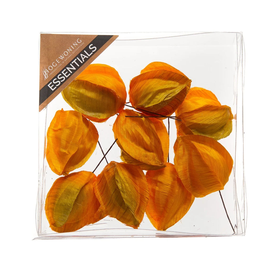 Lantern Fruit 4cm - Orange
