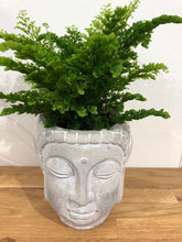 Load image into Gallery viewer, Buddha Head Pot 20x18.5cm

