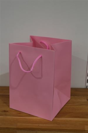 Flower Hand Tied / Gift Bag 25 x 18cm Pink