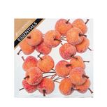 Frosted Apples On Wire In Box Orange