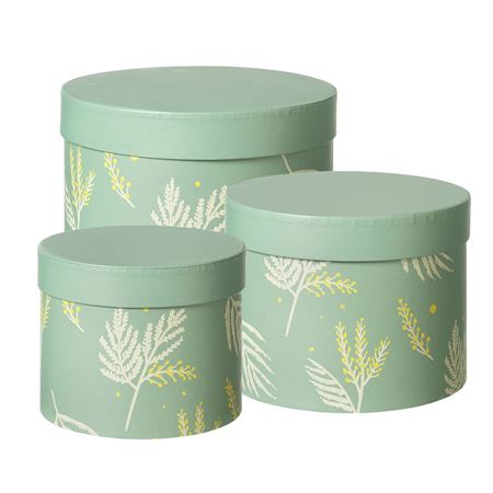 Mimosa Hat Boxes Set of 3