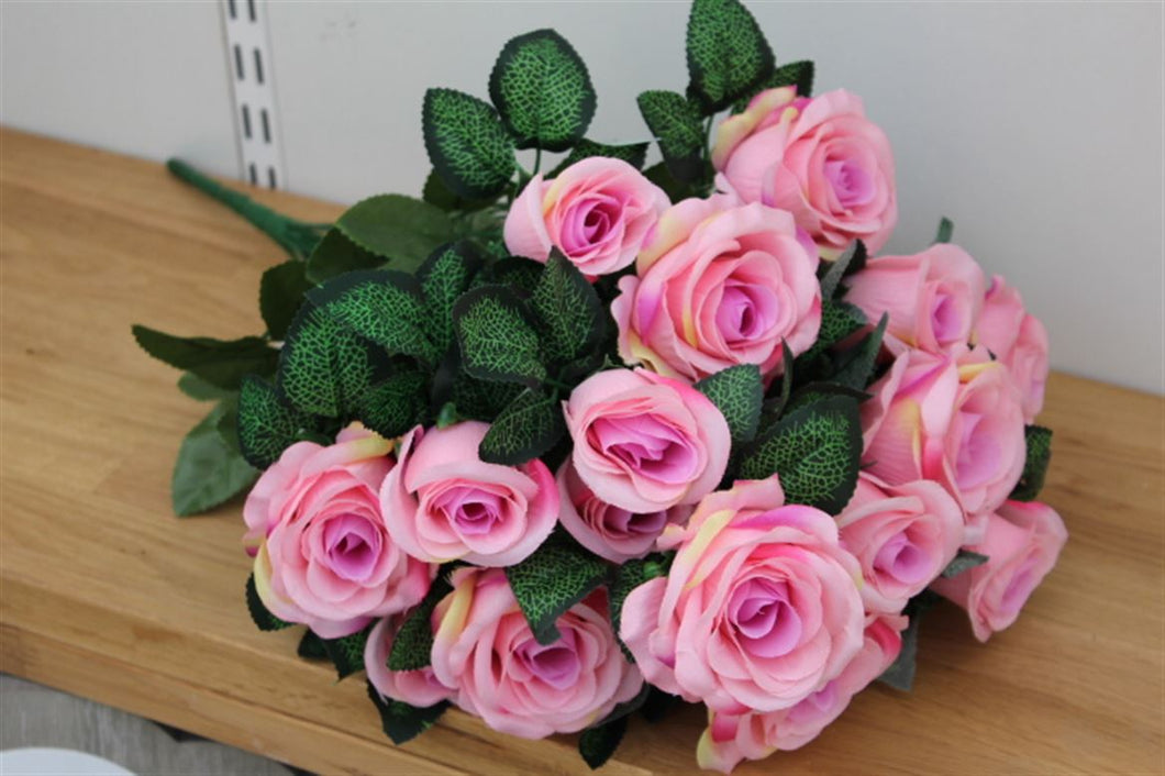 Rose Bush 55cm x 18 Pink