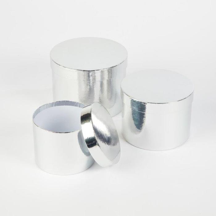 Sheen Rd Hat Boxes Set of 3 Silver
