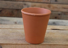 Load image into Gallery viewer, Terracotta Rose Pot 12 x 12cm
