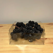 Load image into Gallery viewer, Blackberries Foam On Wire In Box
