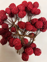 Load image into Gallery viewer, Foam Berries on Wire
