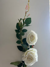 Load image into Gallery viewer, Double Rose White 88cm
