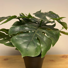 Load image into Gallery viewer, Artificial Plant Monstera in Pot 25 x 25cm
