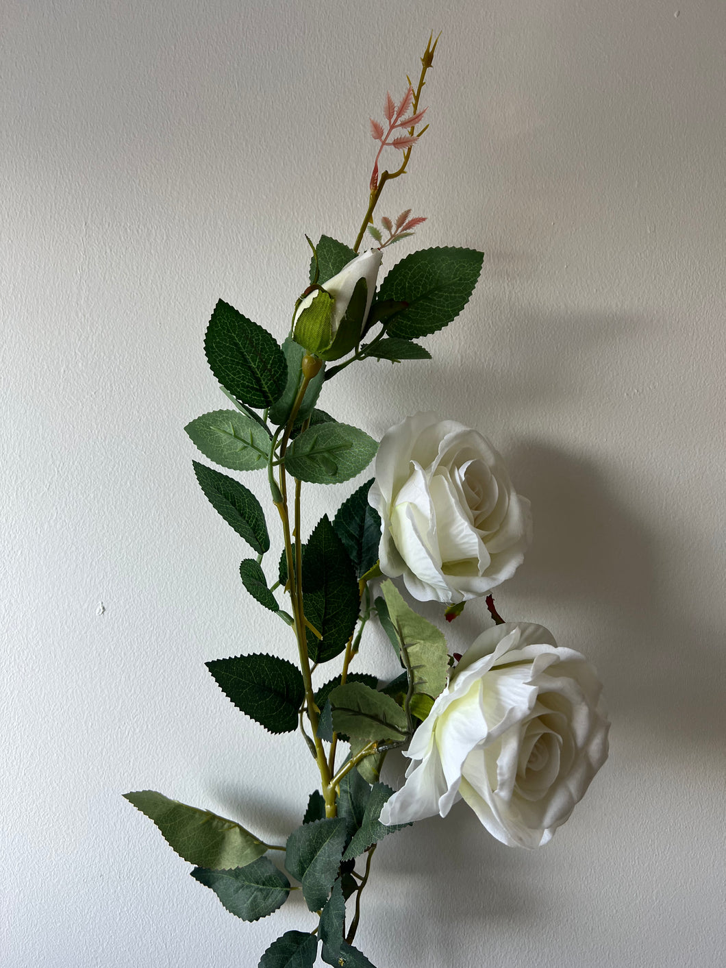 Double Rose White 88cm