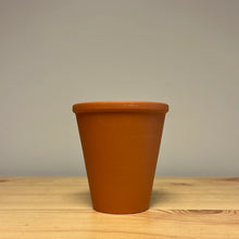 Load image into Gallery viewer, Terracotta Long Tom Pot 9 x 8cm
