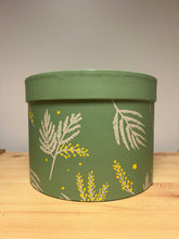 Load image into Gallery viewer, Mimosa Hat Boxes Set of 3

