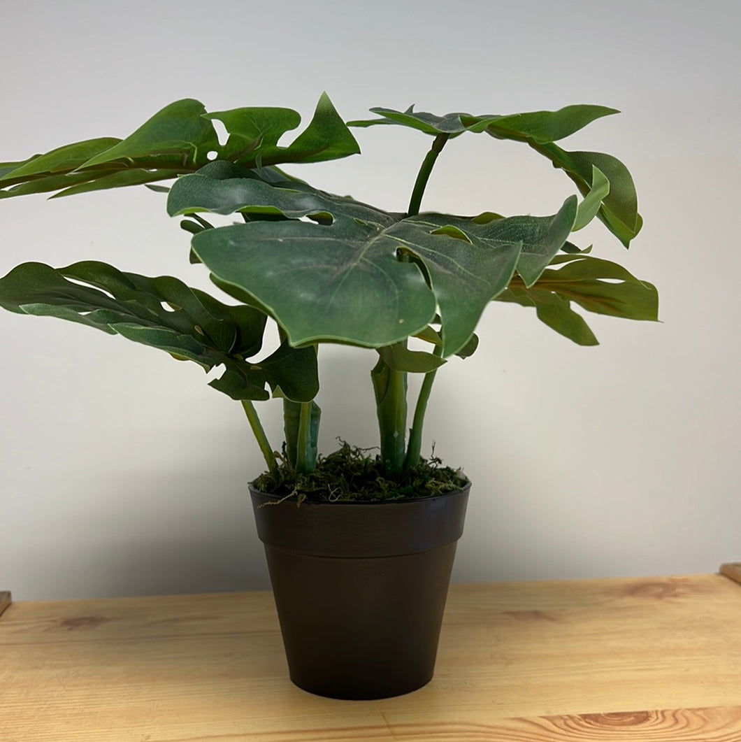 Artificial Plant Monstera in Pot 25 x 25cm