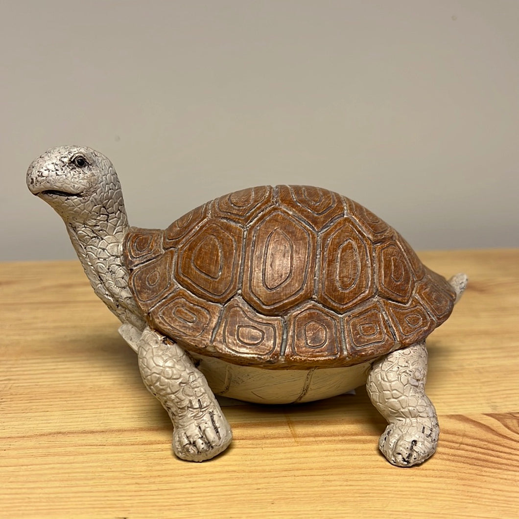 Turtle 14x10x8cm