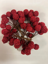 Load image into Gallery viewer, Foam Berries on Wire
