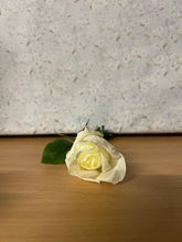 Load image into Gallery viewer, Arundel Rose Bud 60cm Cream
