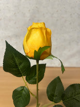 Load image into Gallery viewer, Rosebud 42cm Yellow
