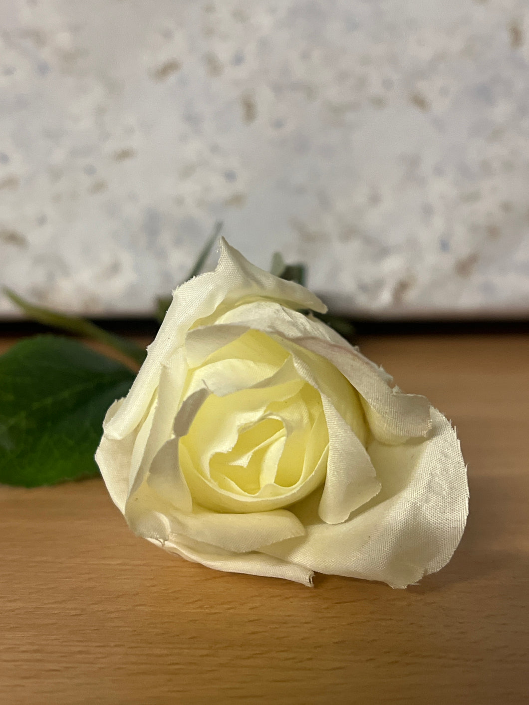 Arundel Rose Bud 60cm Cream