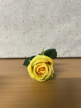 Load image into Gallery viewer, Buckingham Rose 42cm Yellow
