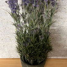 Load image into Gallery viewer, Artificial Lavender in Pot 53 x 25cm
