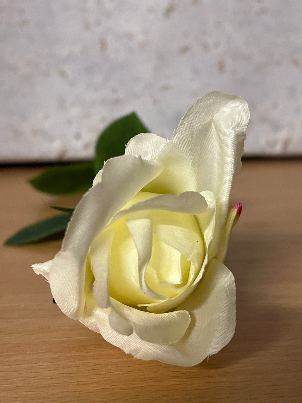 Arundel Rose Bud 62cm Ivory