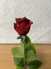 Load image into Gallery viewer, Arundel Rose Bud 57cm Burgundy
