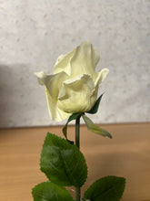 Load image into Gallery viewer, Arundel Rose Bud 62cm Ivory
