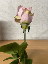 Load image into Gallery viewer, Arundel Rose Bud 60cm Lavender
