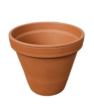 Load image into Gallery viewer, Terracotta Flower Pot 11.2 x 9.7cm - F11
