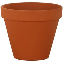 Load image into Gallery viewer, Terracotta Flower Pot 15.5 x 13.7cm - F16
