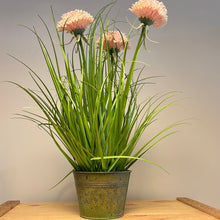 Load image into Gallery viewer, Artificial Mum Grass with Pot - Pink 45 x 30cm
