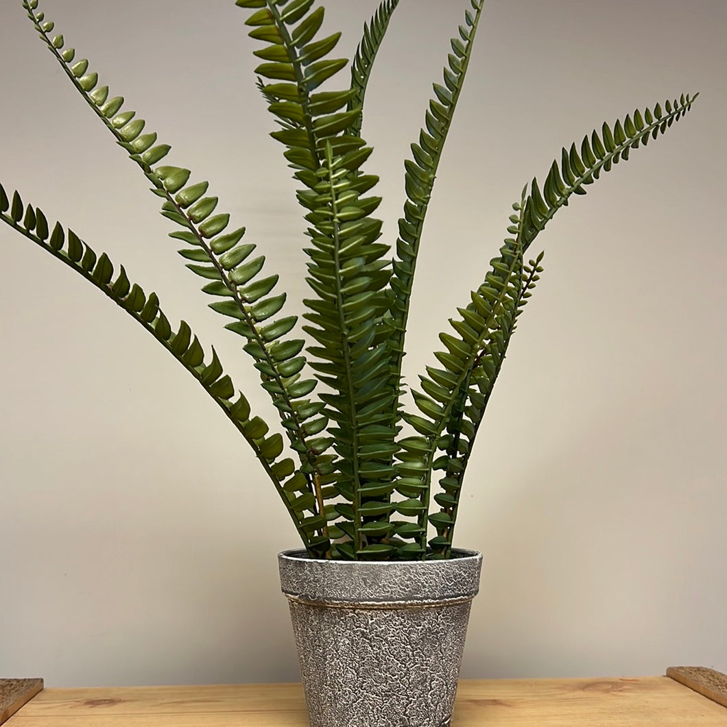 Artificial Fern Adiantum Potted Plant 42 x 40cm